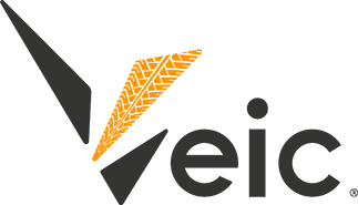 veic.mx