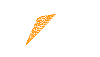veic.mx